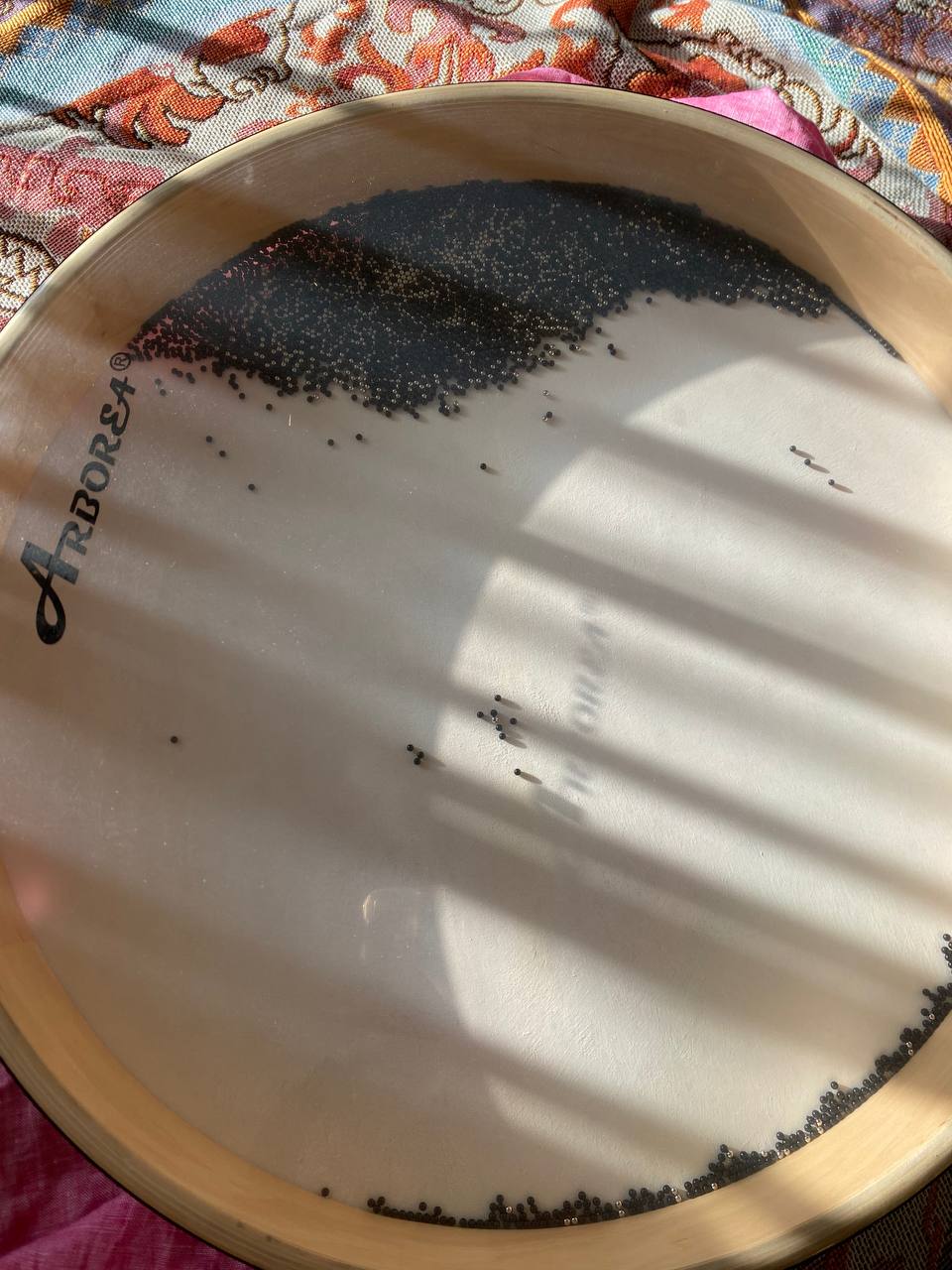 Ocean drum