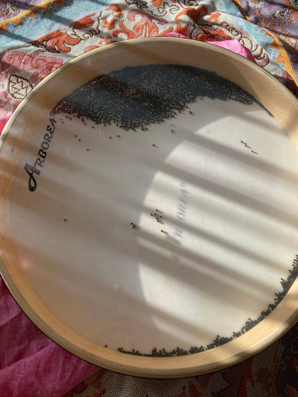 Ocean drum
